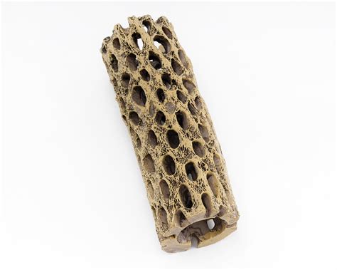 best shrimp hiding fast 5