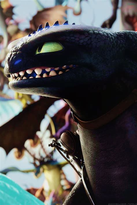 Toothless The Alpha How To Train Dragon How Train Your Dragon How