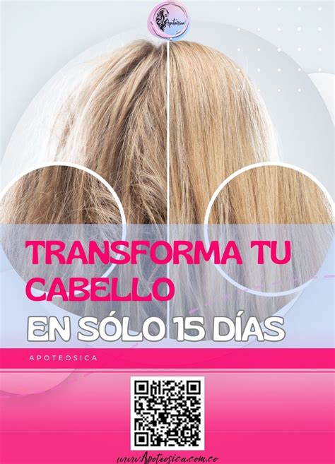 El Cronograma Capilar La Clave Para Un Cabello Sano Y Radiante