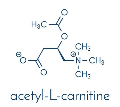 L Карнитин И Ацетил L Карнитин Разница – Telegraph