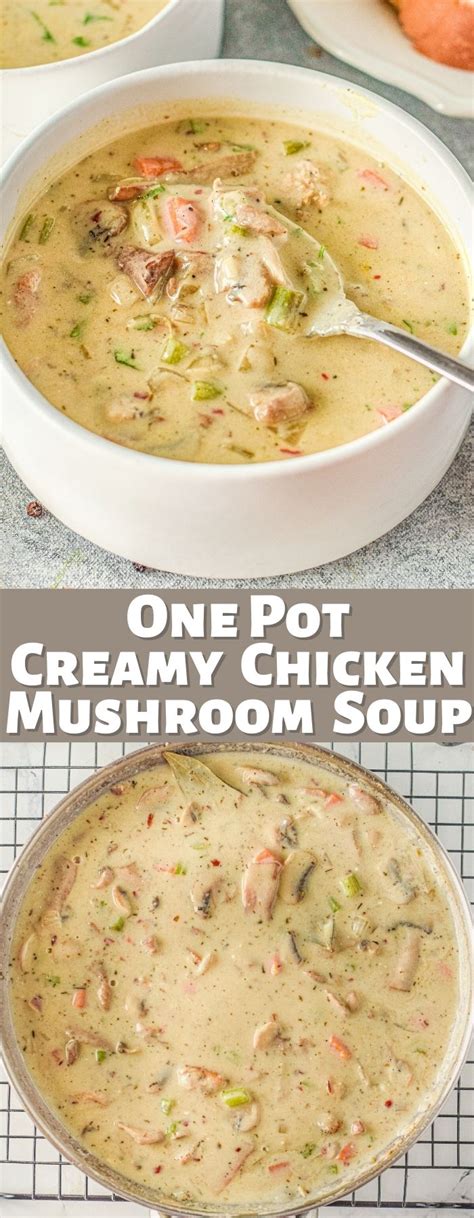 Chicken Mushroom Soup (One Pot) • Domestic Superhero