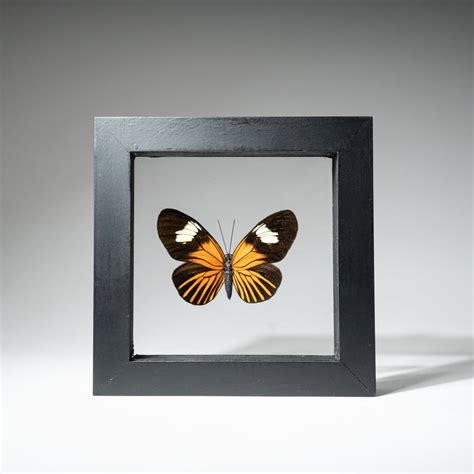 Gifts — Astro Gallery of Gems