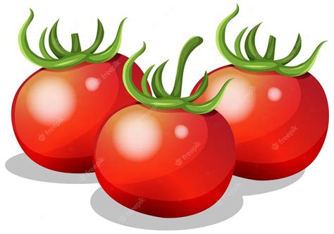 Clipart Tomato Royalty Free Vector Image Vectorstock Clip Art Library