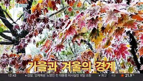 생생갤러리 가을과 겨울의 경계 外 동영상 Dailymotion