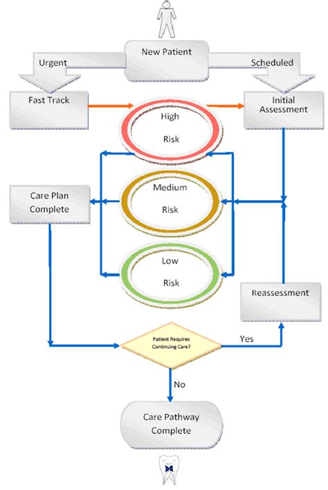 Illustration Of Care Pathway For Patients Download Scientific Diagram