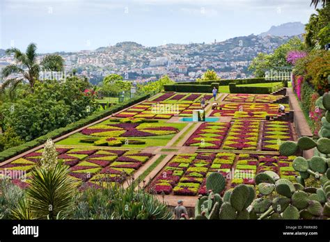 Tropical Botanical Garden In Funchal City Madeira Island Portugal