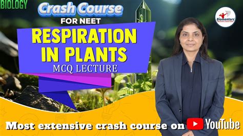 NEET L Biology L Respiration In Plants L MCQ L Most Extensive Crash