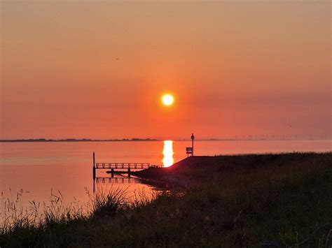 Kats Door Geeske Harkema Kats Zonsopkomst Aan De Oostersc Flickr