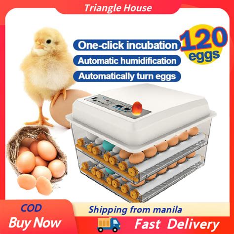 COD120 Eggs Incubator Automatic Digital Incubator Chicken Poultry