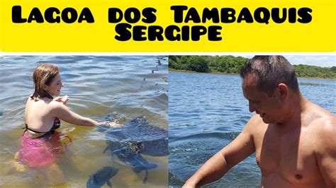 Lagoa Dos Tambaquis Est Ncia Sergipe Youtube