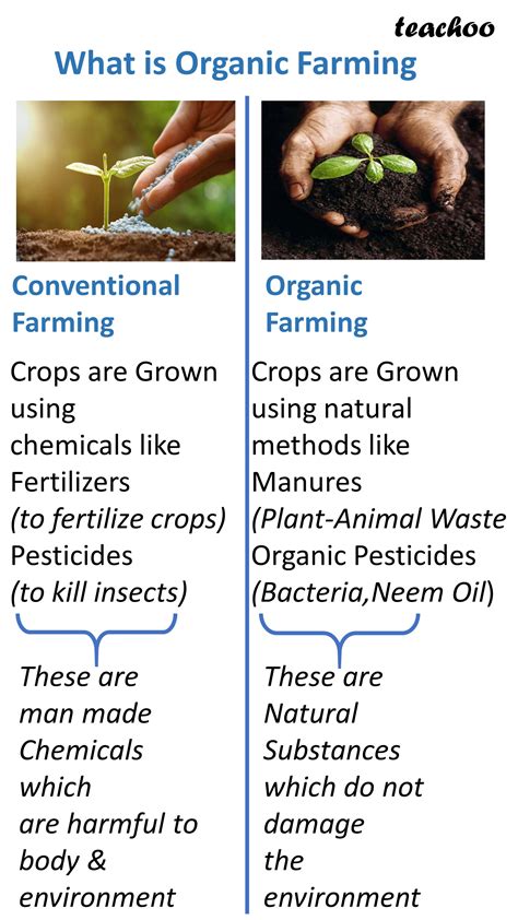 Class 12 What Is Organic Farming Economic Teachoo Chapter 6 IED