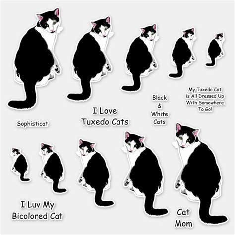 Black And White Tuxedo Cat Lg Sticker Set Tuxedo Cat