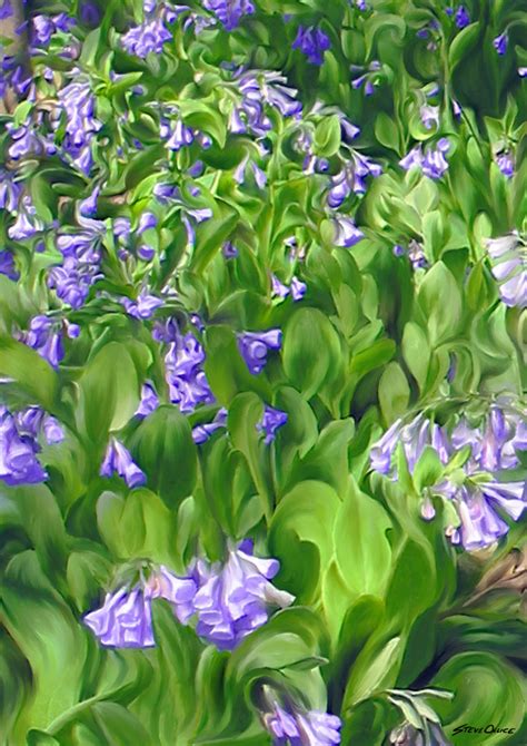 Bluebells Painting Teaser | Steve Ollice