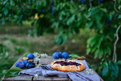 Plum Galette — The Farmer S Daughter Let S Bake Something