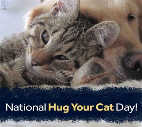 National Hug Your Cat Day Desi Comments