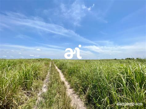 VENTE CONCESSION CADASTRÉE DE 760 000m² SOIT 76 HECTARES AU PLATEAU