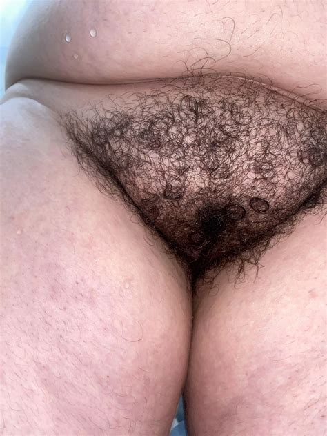 I Need My Hairy Pussy Bred Nudes HairyCurvy NUDE PICS ORG