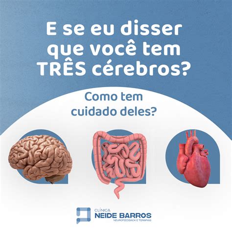 Neurotransmissor Associado Ao Prazer - Neurotransmissor Associado Ao Prazer - BRAINCP