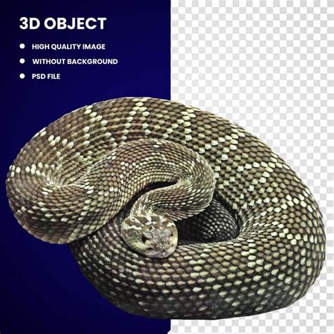 Pythons Reticules PSD 700 modèles PSD gratuits de haute qualité à