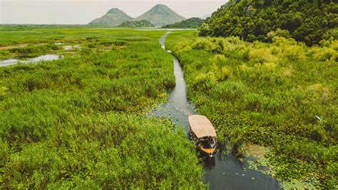 Wildlife, Wine, and Sunset Magic at Lake Skadar | Kingfisher