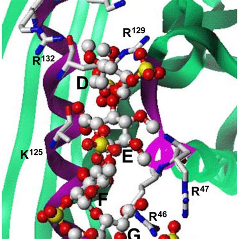 Close Up View Of The Heparin Binding Site In Antithrombin Download