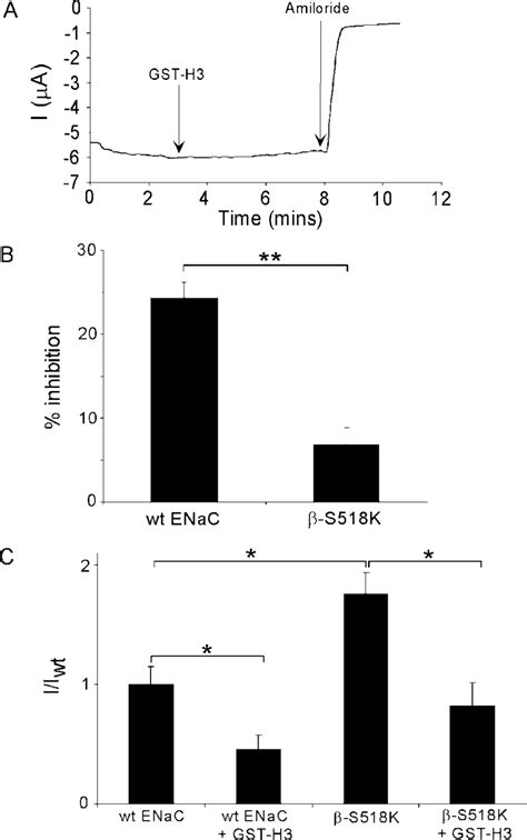 Gst H Has No Effect On S K Whole Cell Na Current S K