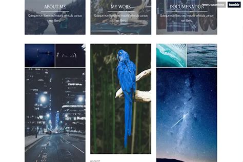 110+ Best Free Minimalist Tumblr Themes to Download