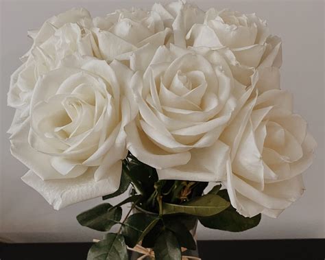 Bouquet Of White Roses - UrbanMatter