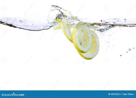 Lemon Slice and Water stock photo. Image of drink, clear - 4957022