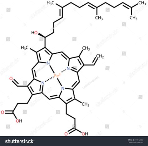 250 Hemoglobin Carbon Dioxide Images Stock Photos Vectors Shutterstock