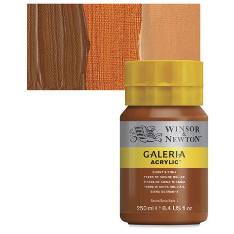 Winsor Newton Galeria Flow Acrylics Burnt Sienna 250 Ml Tube