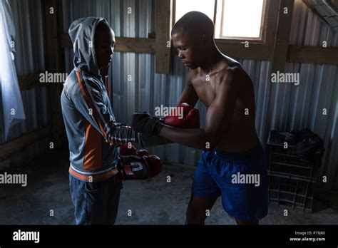 Trainer Assisting Male Boxer In Wearing Boxing Gloves Stock Photo Alamy