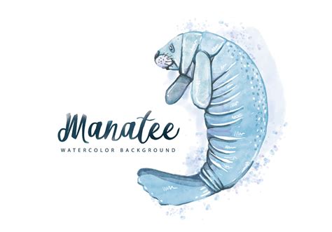 Free Manatee Watercolor Background 131298 Vector Art at Vecteezy