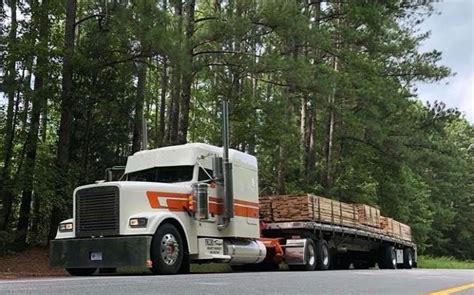 Freightliner Classic | Freightliner, Freightliner trucks, Freightliner classic