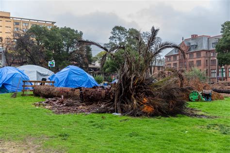 City Council votes to support UC Berkeley appeal against People's Park ruling