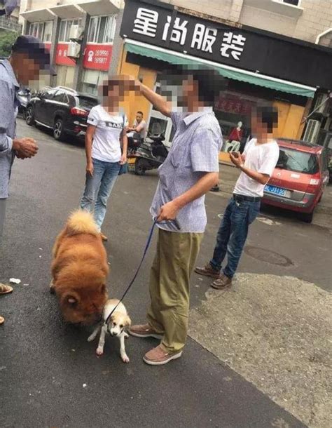 舟山現虐狗事件 男子騎車拖行小狗致其四肢出血 每日頭條