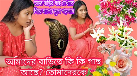 আজ ভিডিও করতে গিয়ে সাপের মুখে পড়লাম আমাদের বাড়িতে কি কি গাছ আছে