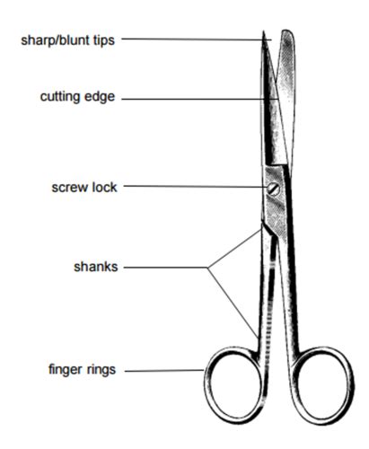 Surgical Instrument Pictures Name And Their Uses Pdf 41 OFF