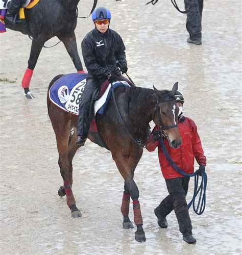 【香港スプリント】メイケイエール 坂路で51秒2と迫力満点の動き 武英調教師「太め感は全くない」 Umatoku 馬トク