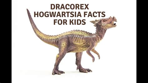 Dracorex Hogwartsia Facts For Kids Youtube