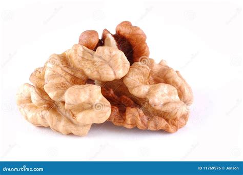 The Kernel Of Nut Stock Photo Image Of Drink Food Organic 11769576