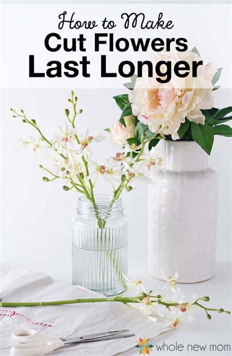 How To Make Flowers Last Longer Plus The Best Method Of All