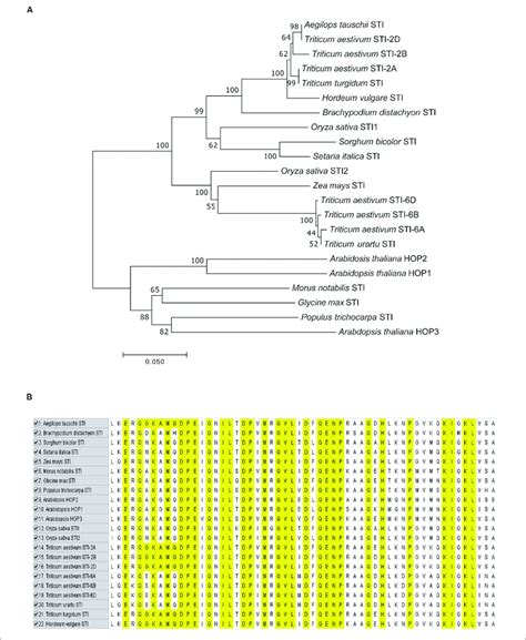 Phylogenetic Analysis And Sequence Alignment Of Tasti Members And Sti