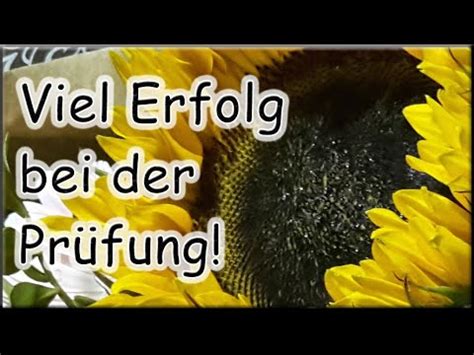 Viel Erfolg Bei Der Pr Fung Gru Wunsch Gr E W Nsche Youtube