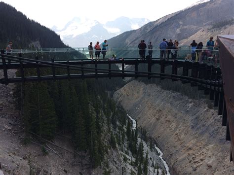 Athabasca Glacier Skywalk | Explore canada, Athabasca, Explore