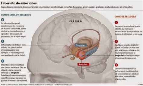 Ideas Y Aventuras Romanticas Para Gay Bisexuales Y Heteros