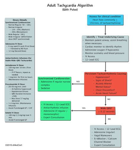 Acls Algorithms Free Printable