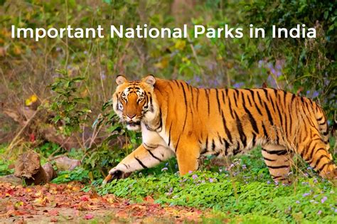 National Parks In India Complete List Upsc