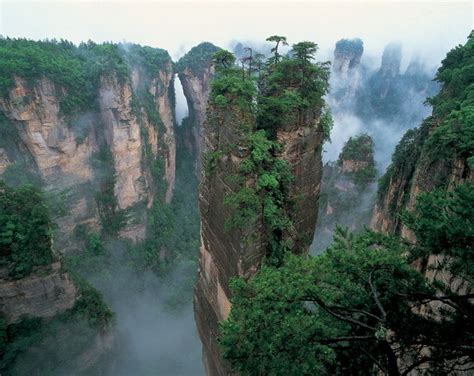 Yuanjiajie Scenic Area, Yuanjiajie Hunan, Forest Parks in Zhangjiajie China