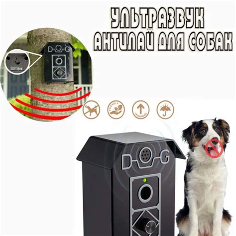 Ультразвуковой антилай для собак - купить с доставкой по выгодным ценам ...